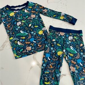 Little Sleepies 🪲🍄🌿 Woodland Magic two piece pjs 3T
